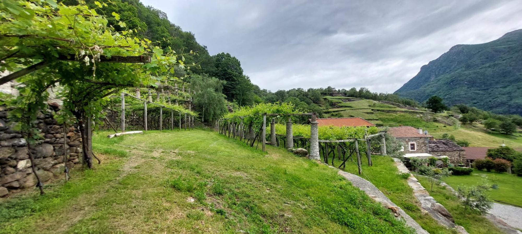 Relais Del Brigante Bed and Breakfast Settimo Vittone Εξωτερικό φωτογραφία