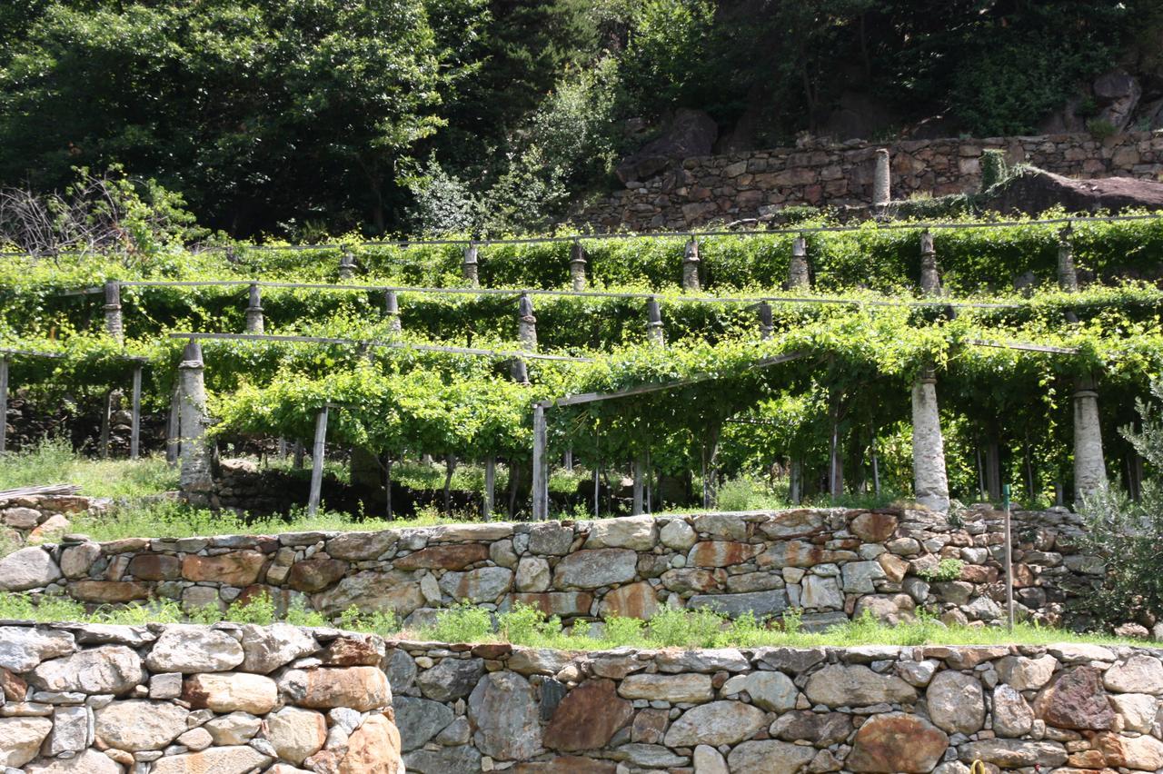 Relais Del Brigante Bed and Breakfast Settimo Vittone Εξωτερικό φωτογραφία